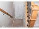 View of a carpeted staircase with wooden handrails and dark metal balusters leading to the next level at 10911 Tennyson Ct, Westminster, CO 80031