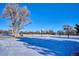 Outdoor basketball court with hoops and a park bench at 8716 Starwood Ln, Parker, CO 80134