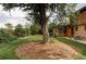 Lush backyard with mature trees and well manicured lawn at 365 Seminole Dr, Boulder, CO 80303