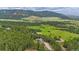 Aerial view of a home surrounded by lush mature trees and landscaping with mountain views at 14271 Timber Trl, Larkspur, CO 80118