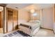 Bedroom featuring wood-look closet doors, carpeted floors, and a globe pendant light at 8292 E Lehigh Dr, Denver, CO 80237