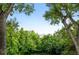 A beautiful natural landscape with green trees framing distant mountain views at 2960 Shadow Creek Dr # 201, Boulder, CO 80303