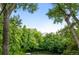 Enjoy expansive views through the dense community tree canopy out to the distant mountains at 2960 Shadow Creek Dr # 201, Boulder, CO 80303