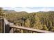 Scenic mountain view with lush evergreens from a home's outdoor deck at 10180 Blue Sky Trl, Conifer, CO 80433