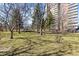 Outdoor grounds with grassy areas, trees and building in the background at 130 N Pearl St # 304, Denver, CO 80203