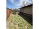 Fenced backyard with mature grass and a dog kennel area on the side of the home at 5600 Dover St, Arvada, CO 80002
