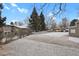 View of the community space and pool covered in snow, featuring mature trees at 857 S Van Gordon Ct # H101, Lakewood, CO 80228