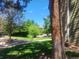Lush community greenspace featuring mature trees, a walking path, and meticulous landscaping under a bright blue sky at 4400 S Quebec St # 108L, Denver, CO 80237