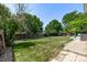 A large, grassy backyard with mature trees and a wooden fence, offering ample space and privacy at 4416 E 93Rd Pl, Thornton, CO 80229
