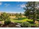 Beautifully maintained backyard overlooking green space with trees and neighborhood views at 5149 Le Duc Ln, Castle Rock, CO 80108