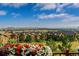 Scenic view from the property overlooking lush greenery and neighborhood homes at 5149 Le Duc Ln, Castle Rock, CO 80108