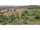 A view of a wild landscape covered by trees, bushes, and grass at 10950 Elk Horn Run, Littleton, CO 80125