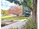 Beautiful front yard with deer and mature trees at 5603 Twilight Way, Parker, CO 80134