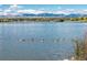Wide lake view showing geese on the water and mountains in the distance at 5044 W Moncrieff Pl, Denver, CO 80212