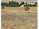 Expansive lot with golden fields, scattered trees, and a glimpse of distant buildings at 2981 Rock Cir, Elizabeth, CO 80107