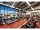 Community gym featuring modern cardio machines, weights, and ample natural light at 12371 Red Fox Way, Broomfield, CO 80021