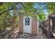 A small, well-maintained shed with a white diamond-paned window, nestled in a private, tree-lined backyard at 11112 Dahlia Way, Thornton, CO 80233