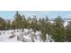 A person walks on a snowy path on a property surrounded by pine trees at 13084 Deer Ridge Way, Larkspur, CO 80118
