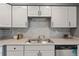 Well-maintained kitchen with white cabinetry, stainless steel sink, and tiled backsplash at 2550 S Cutters Cir # 105, Castle Rock, CO 80108