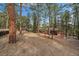 Wood home featuring a large wooden deck area surrounded by pine trees at 28630 Pine Dr, Evergreen, CO 80439