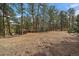 Expansive, wooded backyard offering privacy and a natural setting at 28630 Pine Dr, Evergreen, CO 80439