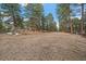 Tranquil wooded backyard offering a serene retreat and natural beauty at 28630 Pine Dr, Evergreen, CO 80439