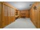 Basement room featuring wood paneling, carpet, built-in desk and shelves, plus storage at 28630 Pine Dr, Evergreen, CO 80439