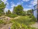 Well-maintained backyard features lush grass, landscaping, and manicured garden beds at 7296 S Flower St, Littleton, CO 80128
