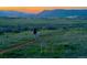 Scenic backyard view of mountains at dusk at 828 Rabbit Run Dr, Golden, CO 80401