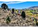 Elevated view of colorful foliage throughout the hillside neighborhood and surrounding mountains at 828 Rabbit Run Dr, Golden, CO 80401