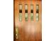 Elegant front door with decorative glass inserts and stylish hardware at 723 Steele St, Denver, CO 80206
