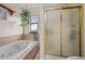 Relaxing bathroom features a jacuzzi tub, a hanging plant near a window, and a glass shower with gold trim at 44011 Morning Star Ct, Elizabeth, CO 80107