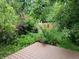 Backyard deck surrounded by a garden of lush greenery, plants, and red roses at 4009 Wonderland Hill Ave, Boulder, CO 80304
