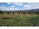 A community ball field with mountain views is surrounded by native plants under a blue sky at 2420 S Ellis Ct, Lakewood, CO 80228