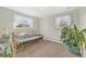 Bright and airy room featuring a comfortable futon and a large potted plant at 1830 Zang St, Golden, CO 80401
