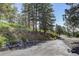 Long paved driveway leading up to the house, lined with rocks and trees at 1688 Pine Valley Rd, Evergreen, CO 80439