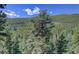 Scenic view of lush green mountains and tall evergreen trees under a blue sky at 1688 Pine Valley Rd, Evergreen, CO 80439