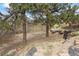 A peaceful backyard featuring mature trees, a hammock and a secluded spot for relaxation and enjoying the outdoors at 4605 Tierra Alta Dr, Castle Rock, CO 80104