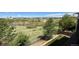 Scenic backyard view with mature trees and open green space, offering privacy and a connection with nature at 4406 Sidewinder Loop, Castle Rock, CO 80108