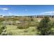 Scenic backyard view with mature trees and open green space, offering privacy and a connection with nature at 4406 Sidewinder Loop, Castle Rock, CO 80108