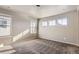 Inviting bedroom with plush carpeting and multiple windows, offering ample natural light and a serene ambiance at 4406 Sidewinder Loop, Castle Rock, CO 80108