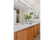 Bathroom with double sinks, wood cabinets, and a plant for decor at 17611 Hoyt Pl, Parker, CO 80134
