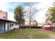 Large backyard with lush green grass, mature trees, a privacy fence, and a red shed at 3004 S Niagara Way, Denver, CO 80224