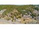 Mountain acreage with mature trees and multiple outbuildings offers an escape to the outdoors at 20951 Pleasant Park Rd, Conifer, CO 80433