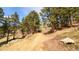 Long, dirt driveway leading through the trees, rock features, and landscaping at 20951 Pleasant Park Rd, Conifer, CO 80433