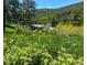 A charming home nestled among trees and lush greenery creating a private and serene setting at 20951 Pleasant Park Rd, Conifer, CO 80433