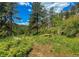 A scenic path surrounded by vibrant wildflowers winding through a lush, green, forested landscape at 20951 Pleasant Park Rd, Conifer, CO 80433