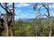 Majestic mountain range visible through the trees, enhancing the property's scenic appeal and natural beauty at 20951 Pleasant Park Rd, Conifer, CO 80433