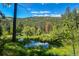 A serene pond reflecting the sky, surrounded by lush greenery and trees creating a peaceful setting at 20951 Pleasant Park Rd, Conifer, CO 80433