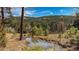 A beautiful pond with serene, nature-filled scenery, and a mountainous backdrop at 20951 Pleasant Park Rd, Conifer, CO 80433